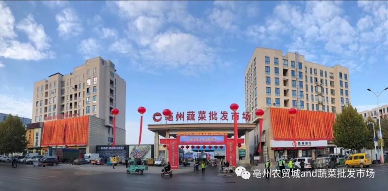 访谈记录：沃禾商贸如何在市场竞争中脱颖而出