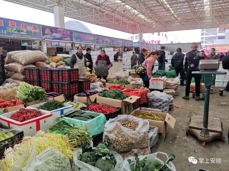 沃禾商贸：市场洞察与策略分析